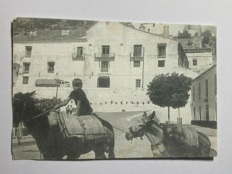 POSTED RETRO POSTCARD - BOY & DONKEYS FRIGILIANA 60 YEARS SPAIN (KK2153)