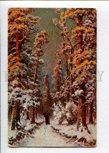 3127688 WINTER Forest RUSSIA by KLEVER vintage Colorful PC