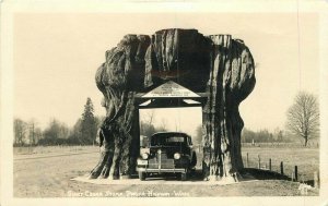 Arlington Washington Drive Thru Tree Stump RPPC Photo Ellis #51 Postcard 7610