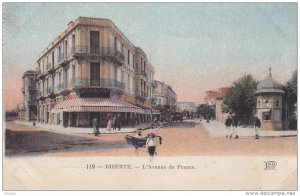 BIZERTE, Tunisia, 1900-1910's; L'aVenue De France