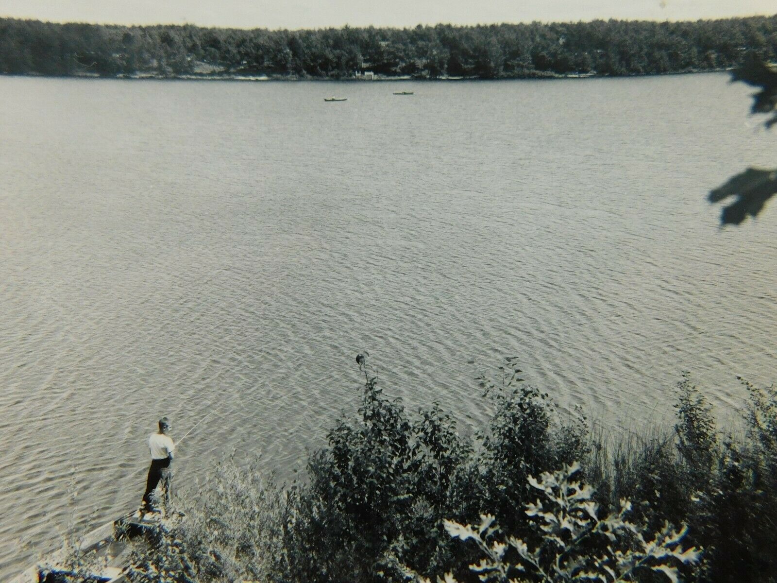 Budd Lake Harrison Michigan Fishing Boat Lake Real Photo Vintage Postcard United States