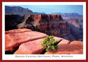Arizona, Grand Canyon - National Parks Not For Sale! - [AZ-518X]