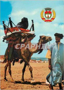 Postcard Modern Marriage in the High Atlas Camel