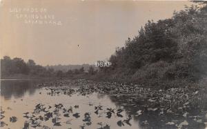 Ohio Postcard Real Photo RPPC 1912 SAVANNAH Spring Lake Lili Pads Ashland