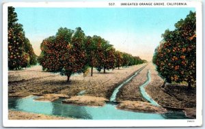 Postcard - Irrigated Orange - California