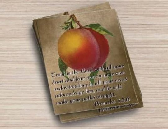 Postcard Set, Proverbs 3:5,6 Trust in the Lord with all your heart.. Calming