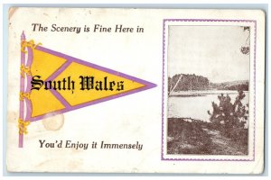 1913 Scenery Exterior View South Wales New York Pennant Vintage Antique Postcard