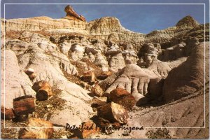 Postcard AZ Petrified Forest National Park - Pedestal Log in Blue Mesa