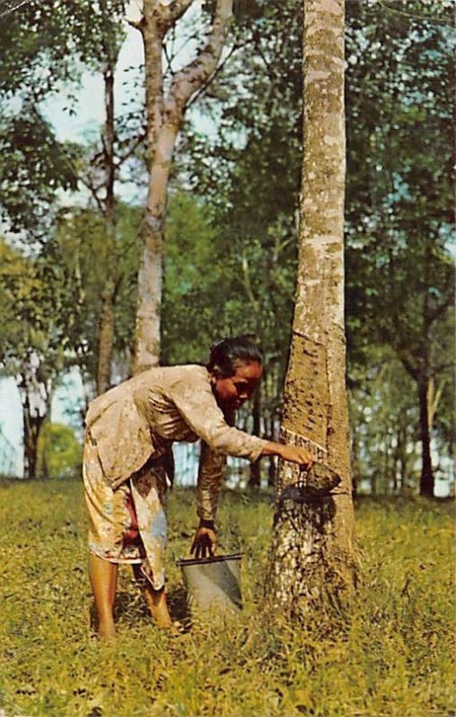 Malayan Woman Tapping Rubber Ceylon, Ceylan 1962 