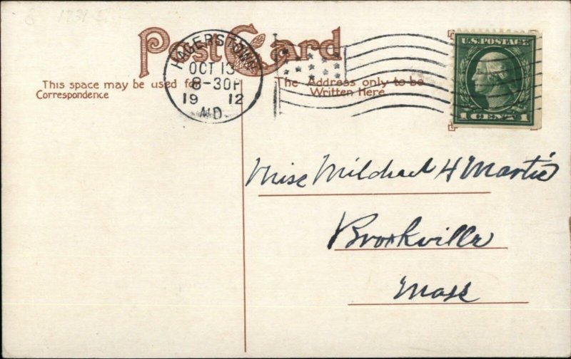 Mentzer Duck Farm Near Waynesboro PA c1910 Postcard