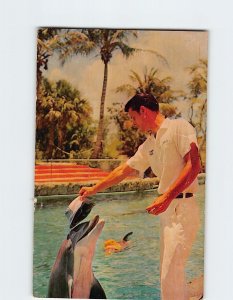 Postcard Head Trainer rewarding one of performers Cape Coral Gardens Florida USA