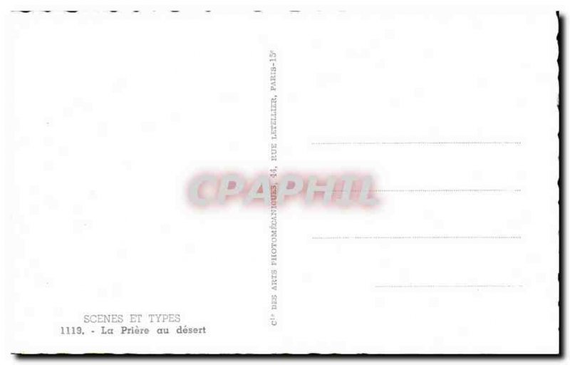 Old Postcard Scenes The Prayer in the desert Camel Camel