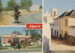 Portugal Postcard - Views of The Algarve   RR8014