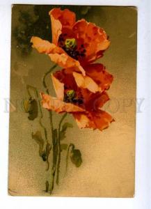 188116 POPPY Flowers by C. KLEIN Vintage Russian PC