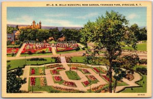 Mills Municipal Rose Garden Thornden Park Syracuse New York NY Postcard