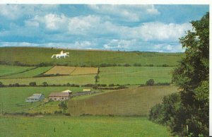 Dorset Postcard - White Horseman on Hill from Preston Road, Weymouth - Ref 3901A