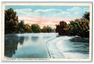 c1920's Ice Company Dam Susquehanna River Oneonta New York NY Postcard