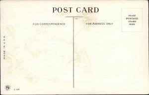 CHRISTMAS Pretty Woman w Holly c1910 Postcard