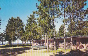 Michigan Derton Pine Cone Motel At Sand River