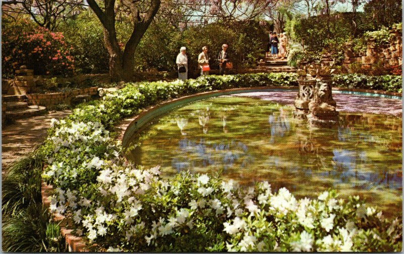 Vtg 1960s Douglas Chandor Garden Lower Pool White Shadow Weatherford TX Postcard