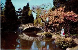 Canada Victoria Bridge In Beacon Hill Park 1965