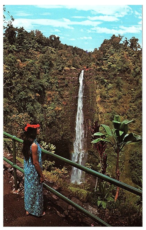 Viewing Akaka Halls Near Hilo Hawaii Big Island Postcard