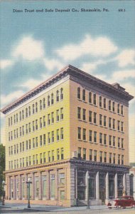 Pennsylvania Shamokin Dime Trust and Safe Deposit Company Bank