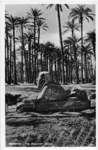 RPPC THE ALABASTER SPHINX MEMPHIS EGYPT REAL PHOTO POSTCARD