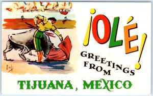 OLE!   Greetings from TIJUANA, MEXICO  Bull Fight  Great Graphics Postcard