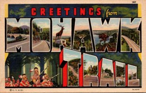 Massachusetts Greetings From Mohawk Trail Large Letter Linen Curteich