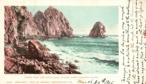 Vintage Postcard 1905 North Point & Sugar Loaf Avalon Sta. Catalina Island Calif