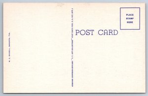 Peacock, Sarasota Jungle, Florida, Vintage Linen Curt Teich Postcard