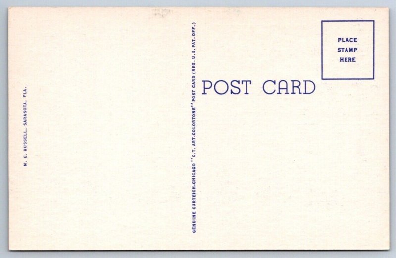 Peacock, Sarasota Jungle, Florida, Vintage Linen Curt Teich Postcard