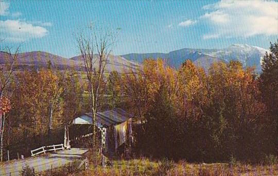 One Of The Old Covered Bridges In Lamoille County Littleton New Hampshire 1960