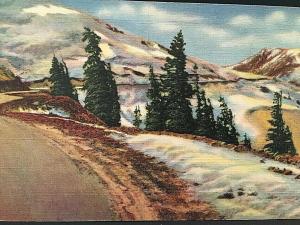 Postcard   Timberline in the Rockies, Denver, CO.   U6