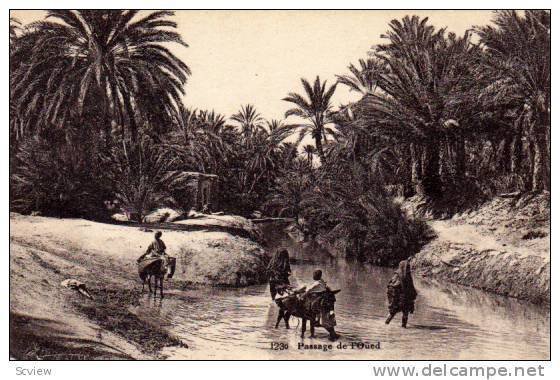 People Riding On Donkeys, Passage De l'Oued, Algeria, Africa, 1910-1920s