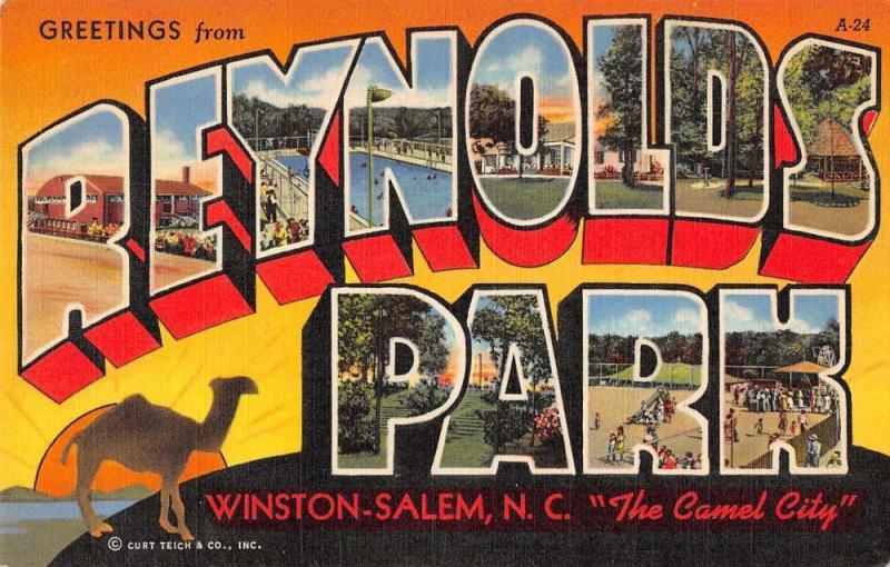 Winston-Salem North Carolina Greetings From Reynolds Park antique pc Y15109