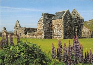 B101973 nunnery on the isle of iona  scotland