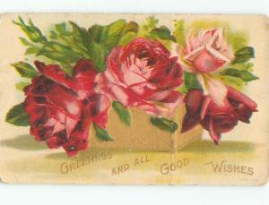 Divided-Back BEAUTIFUL FLOWERS SCENE Great Postcard AA2873