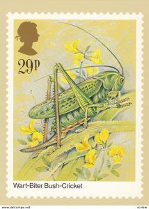 INSECT ; Wart-Biter Bush-Cricket , 1985