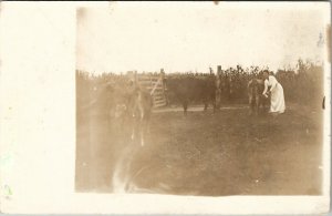 RPPC Woman at Corn Field Milking Cow Real Photo Postcard U14