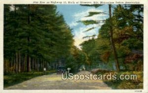 Pine Row - Shawano, Wisconsin WI Postcard
