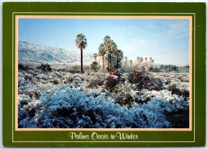 Postcard - Palms Oasis in Winter, Joshua Tree National Park - California
