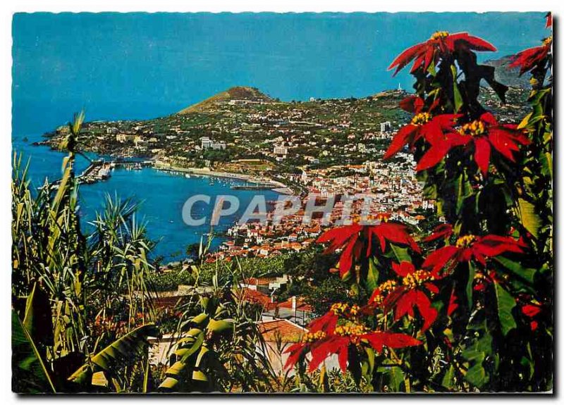 Modern Postcard Funchal Madeira Vista Oeste