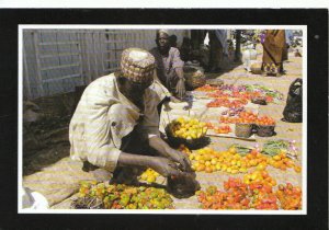 Nigeria Postcard - Ali Buda Selling His Tomatoes - Gusau, Zamfara State  TZ5003