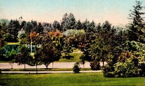 Washington Tacoma View In Wright's Park