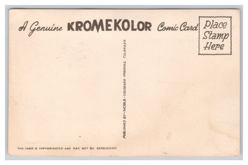 Ye-E-Oouch HELP You'd Holler Too! Comic Postcard Woman Doing Laundry