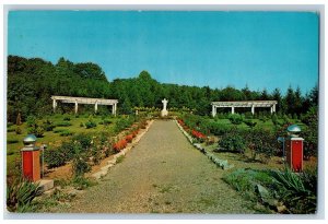 1969 Scenic View Of Rose Garden Allentown Pennsylvania PA Vintage Postcard