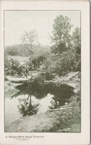 Shady Spot near Toronto Ontario c1905 Chas Mitchell Co Postcard E98 *as is