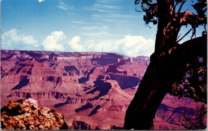 Grand Canyon National Park Arizona AZ Postcard PM Steamboat Springs CO Cancel 